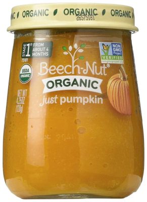 Beech-Nut Organic Just Pumpkin Stage 1 Baby Food