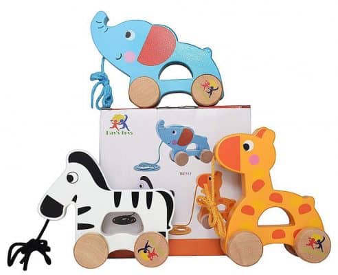 Wooden Pull Along Toy Set