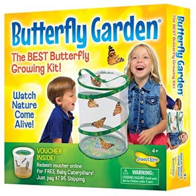 Insect Lore Butterfly Garden