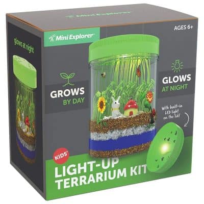 Light-up Terrarium Kit for Kids