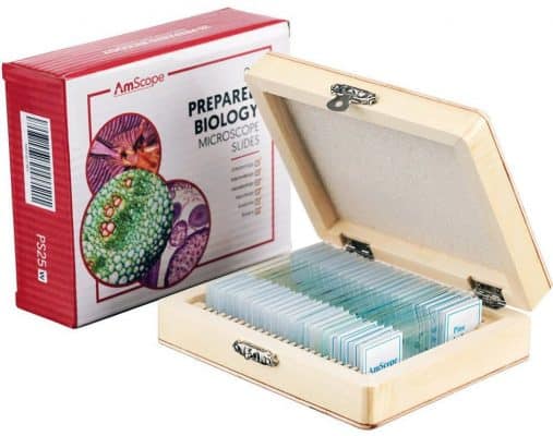 AmScope PS25 Prepared Microscope Slide Set