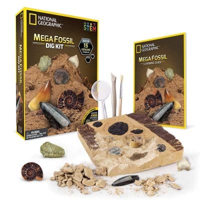 Mega Fossil Mine – Dig Up 15 Real Fossils