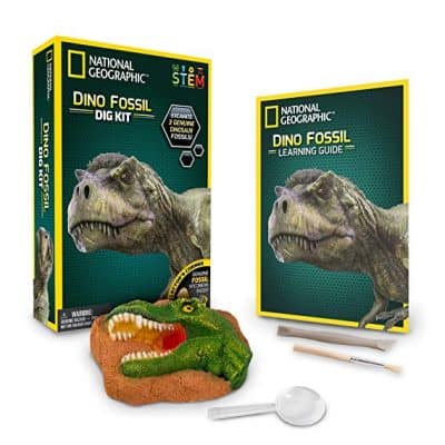 National Geographic Dino Fossil Dig Kit