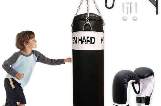 everlast traditional heavy bag kit