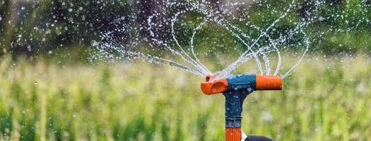 Sprinkle All the Way: The Best Sprinklers for Kids