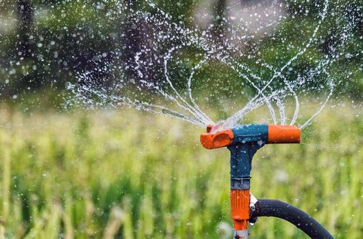 kids lawn sprinkler