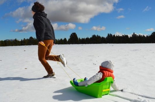 Best Sleds for Kids to Carve the Snow