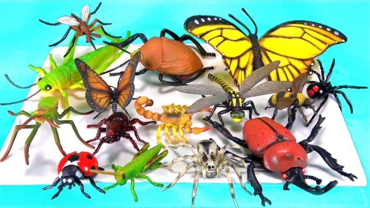 insect toys for toddlers