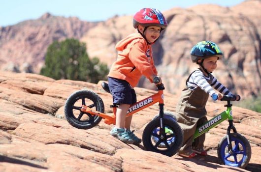 Raise a Champion: Best Sports Toys for Kids and Toddlers