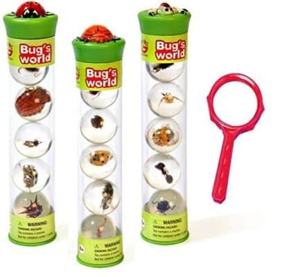 Bugs World Insect Marbles (Set of 15) with Magnifying Glass
