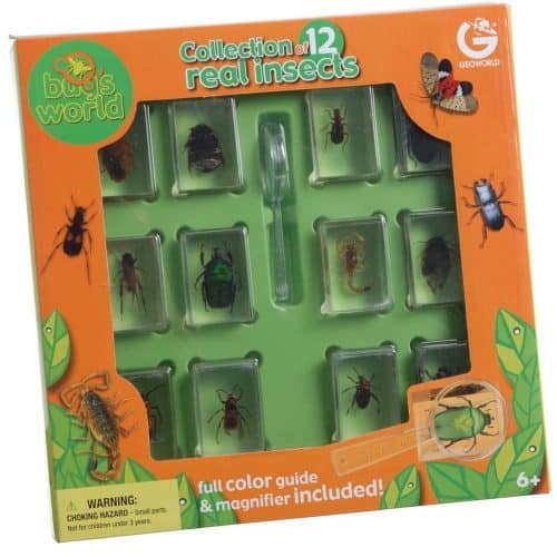 Best Bug Toys for Kids 2022 A Bug’s Life LittleOneMag