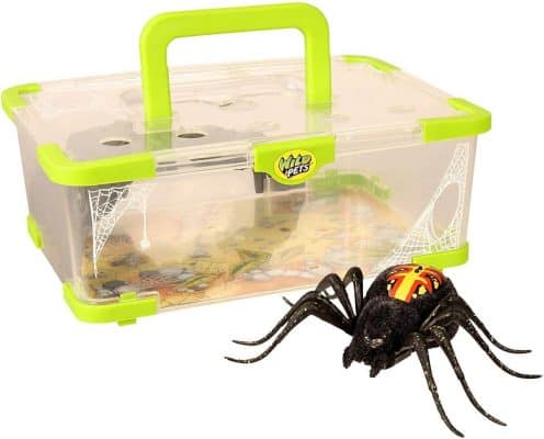 Wild Pets Spider Habitat Playset