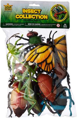 bug toys for 4 year olds