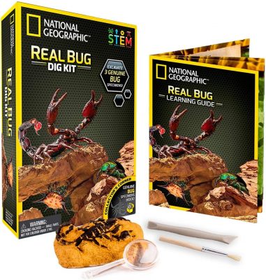 National Geographic Real Bug Dig Kit