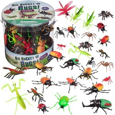 bug toys for 5 year olds