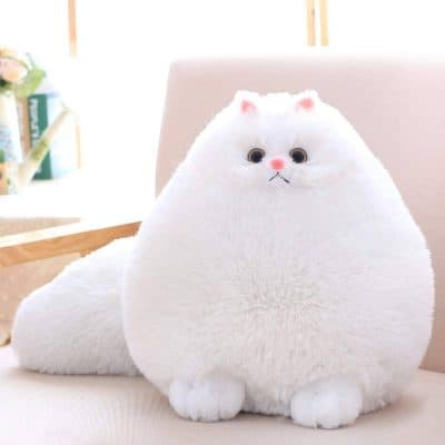 Winsterch Kids Cat Stuffed Animal