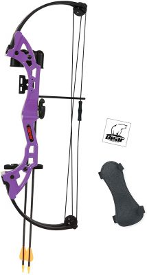 Bear Archery Brave Bow Set