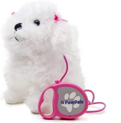 toy dog that walks on lead