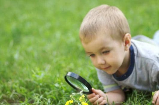 3 Pack 10x Magnifier Magnifying Glass For Kids Reading, Non-slip Handheld  Magnified Glass, 75mm Large Magnifying Glasses For Close Work, Science