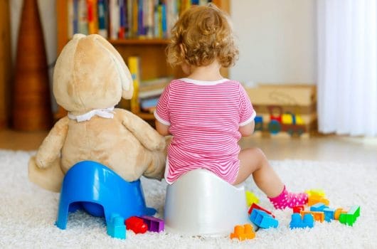 Best Potty Chairs and Seats to Help Train Your Child