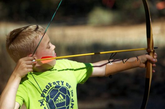 Best Bow and Arrow Sets for Kids to Hit Their Targets