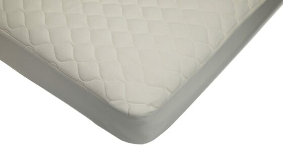 American Baby Company Organic Cotton Mattress Pad