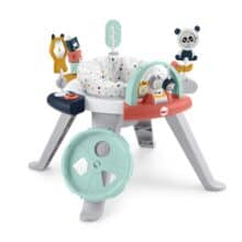 fisher price 3 in one activity center