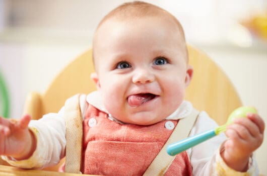 Best Hook-On High Chairs to Eat Wherever