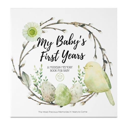 Best Baby Memory Books 2022 Never LittleOneMag