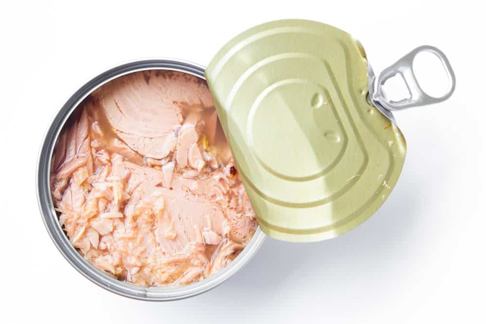 Can Pregnant Women Eat Tuna? A Complete Guide LittleOneMag