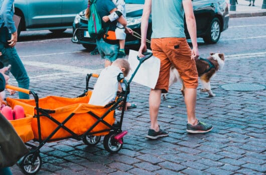Best Stroller Wagons for Your Precious Cargo