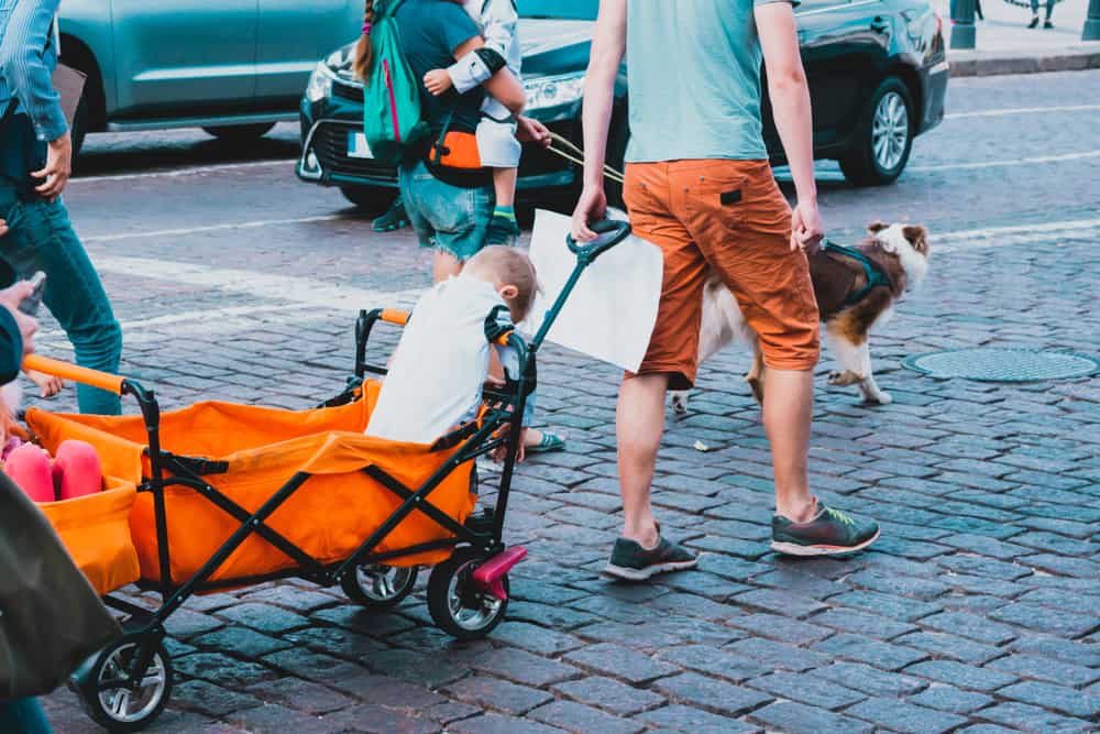 best stroller wagons