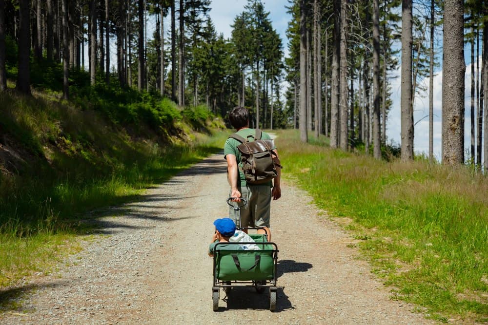 father pulling stroller wagon with child on a mountain trail