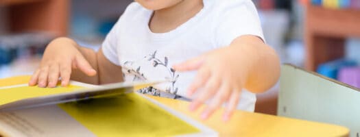A Whole New World: Best Books for 3 Year Olds