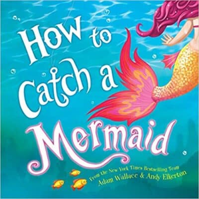 How to Catch a Mermaid by Andy Elkerton