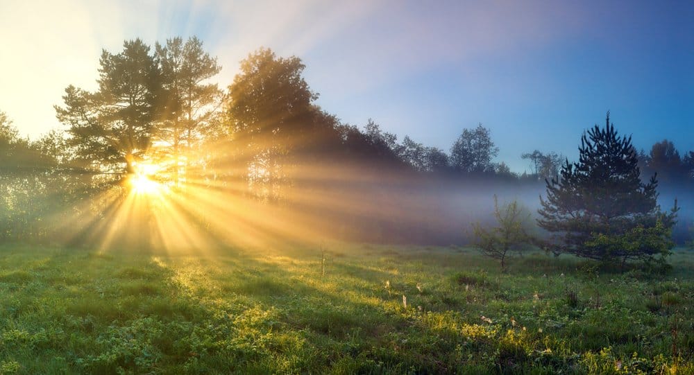 landscape with sun peeking through trees