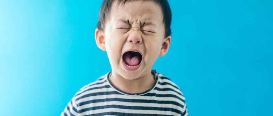 Toddler Screaming Main Reasons and Ways to Handle It