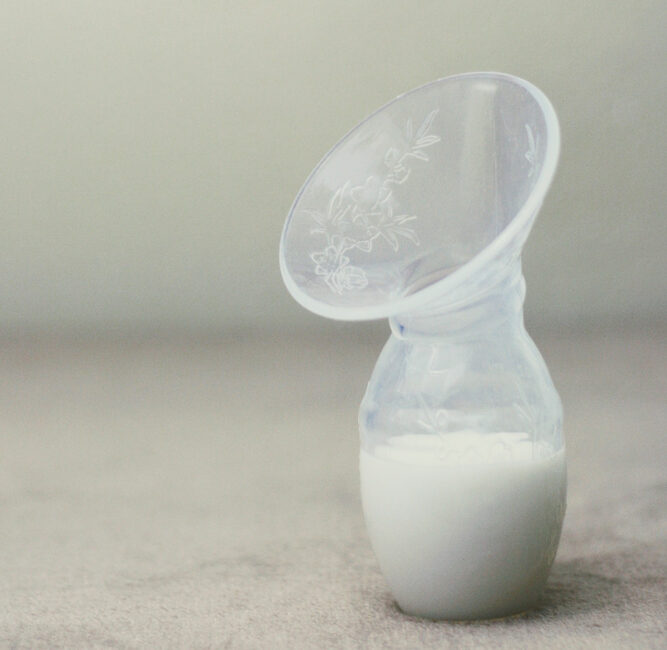 Haakaa Silicone Manual Breast Pump Full Review LittleOneMag